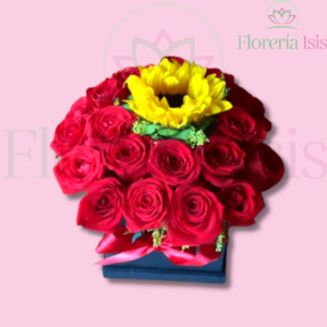 MINI BOX DE ROSAS