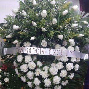 Corona de Esperanza